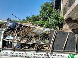 Best Scrap Metal Removal  in Mount Pleasant, SC